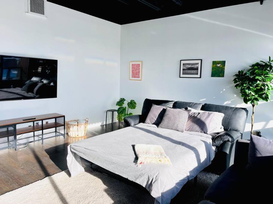 Sunny Penthouse On 17Th Ave, 1 Bedroom, 1 Loft Bed With Ladder, 1 Sofa Bed, Sleeps 6, Downtown YYC Buitenkant foto